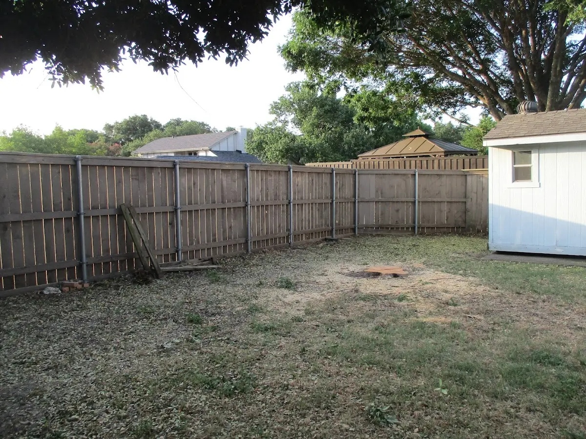 Cleared yard after professional tree removal in Ringoes
